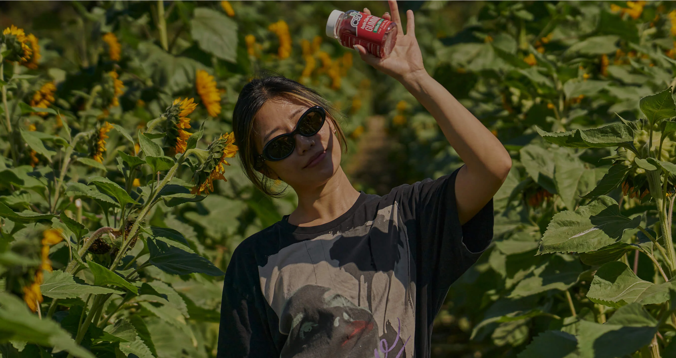 Premium CBD for Every Lifestyle