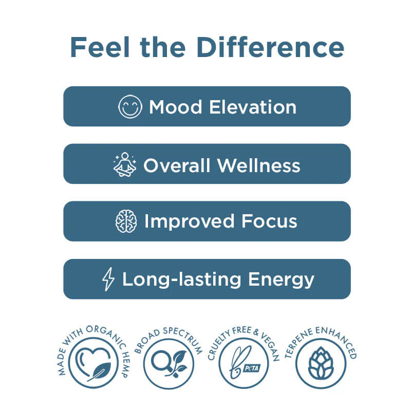 CBD + CBG Morning Capsules for Energy & Focus: Your Complete Morning Stack - Image 4