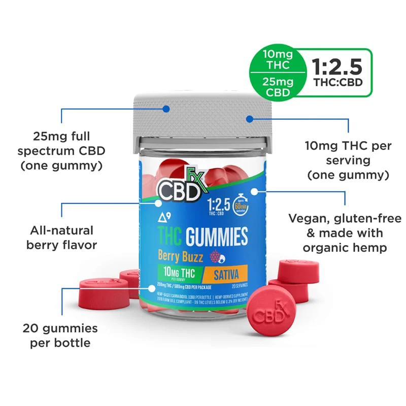 CBD Gummies + THC: Berry Buzz Sativa - Image 3