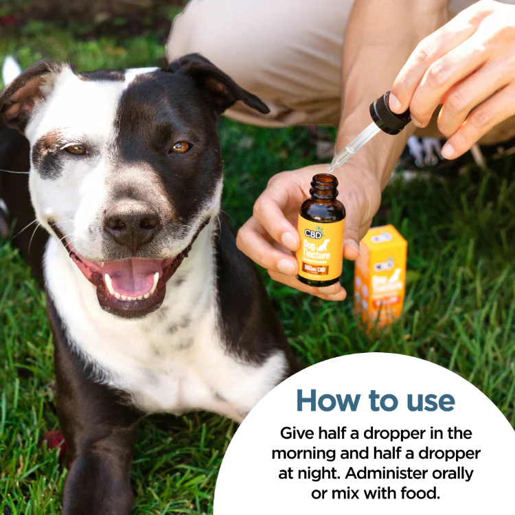 CBD Oil For Dogs - Chicken Flavored - 250 to 2000mg - Image 3