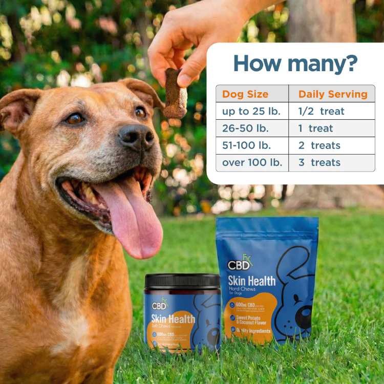 CBD Dog Treats: Skin Health Chews - Image 3