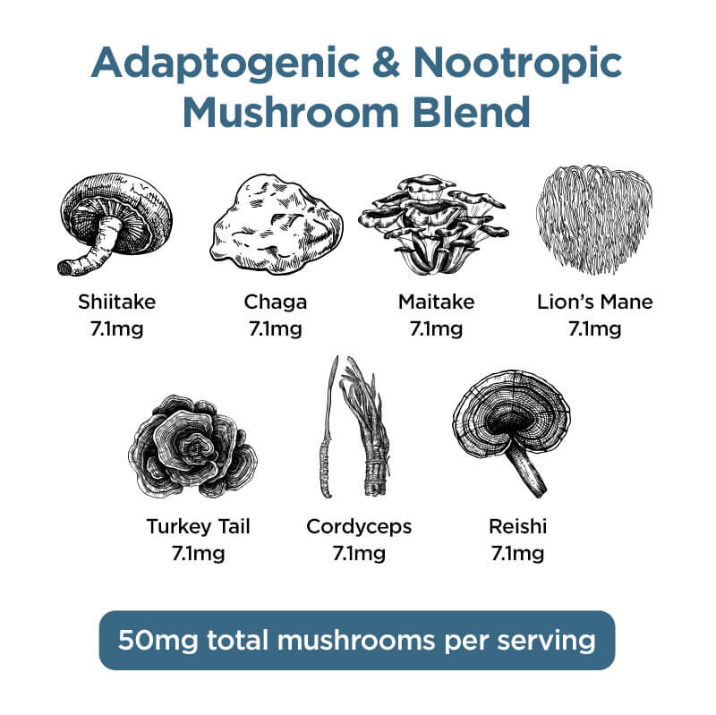 CBD Gummies With Mushrooms for Wellness 1500mg - Image 4
