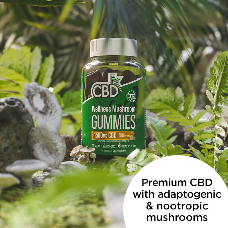 CBD Gummies With Mushrooms for Wellness 1500mg - Image 6