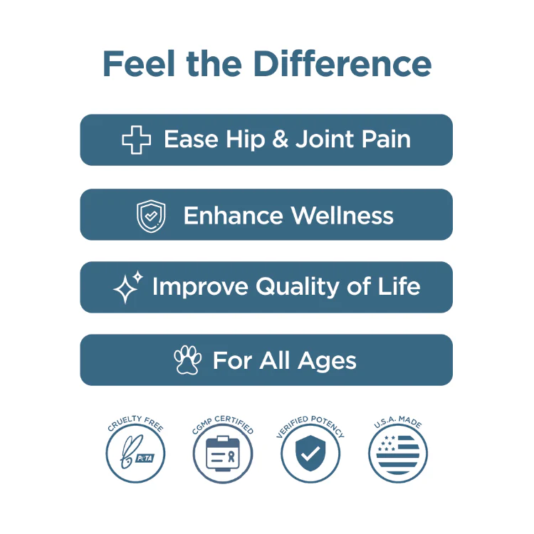 CBD Dog Treats: Hip & Joint Chews - Image 4