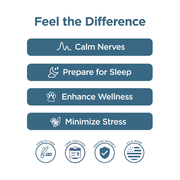CBD Dog Treats: Calming Chews 600mg - Image 4