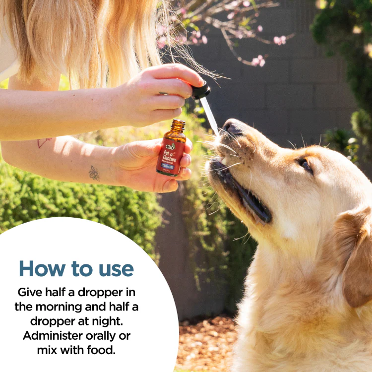 CBD Oil for Dogs - Bacon Flavored - 250 to 2000mg - Image 3