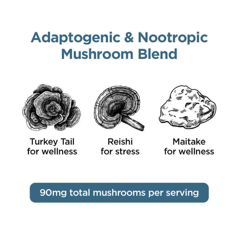 Relax Blend Mushroom Tincture + CBN + CBD - Image 6